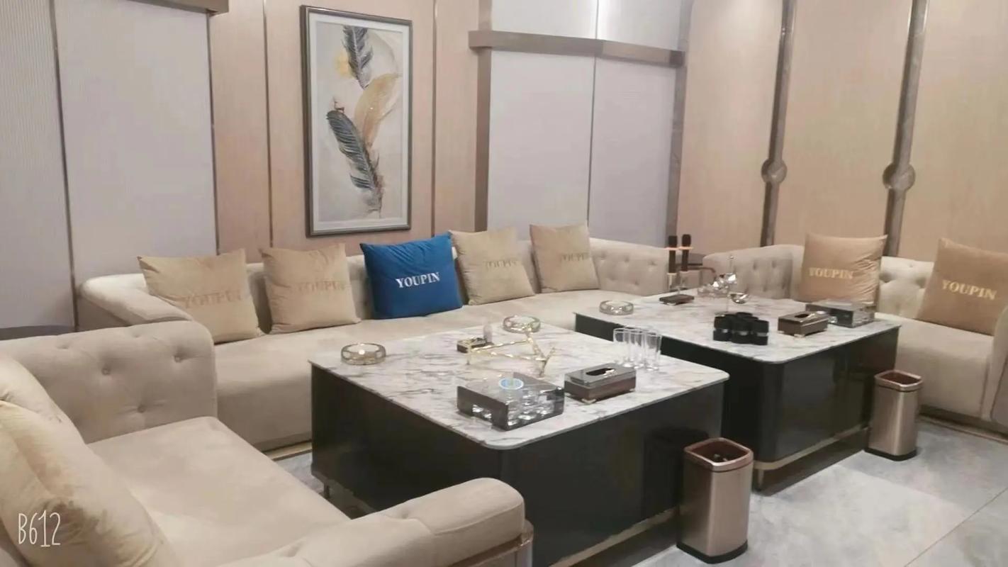 阜新商务ktv推荐商务ktv哪里有-新邱区ktv预订